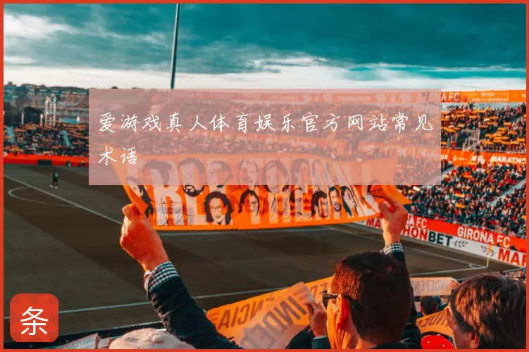 爱游戏真人体育娱乐官方网站常见术语